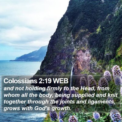 Colossians 2:19 WEB Bible Verse Image