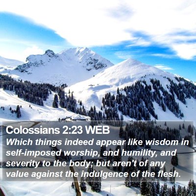 Colossians 2:23 WEB Bible Verse Image