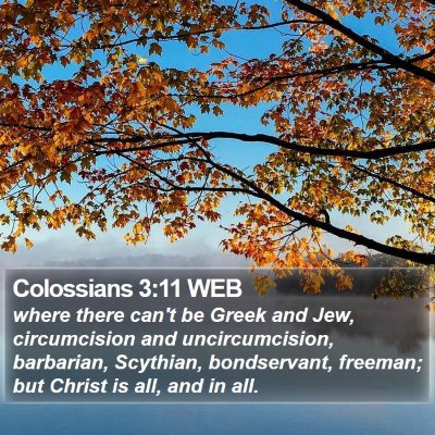 Colossians 3:11 WEB Bible Verse Image