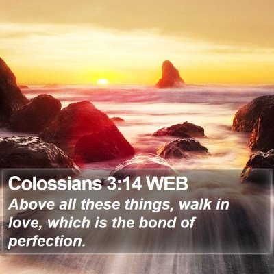 Colossians 3:14 WEB Bible Verse Image