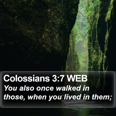 Colossians 3:7 WEB Bible Verse Image