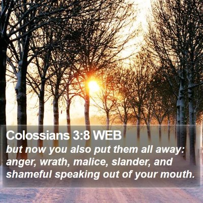 Colossians 3:8 WEB Bible Verse Image