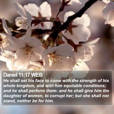 Daniel 11:17 WEB Bible Verse Image