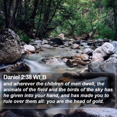 Daniel 2:38 WEB Bible Verse Image