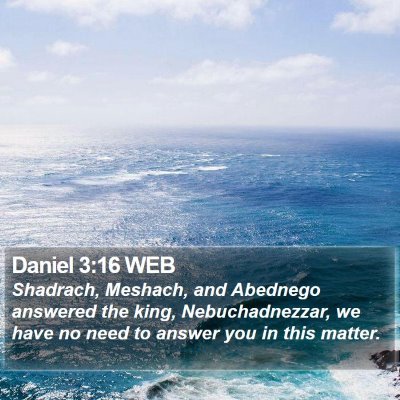 Daniel 3:16 WEB Bible Verse Image