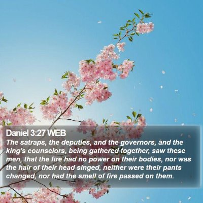 Daniel 3:27 WEB Bible Verse Image