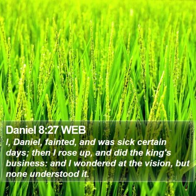 Daniel 8:27 WEB Bible Verse Image