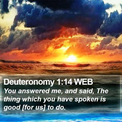 Deuteronomy 1:14 WEB Bible Verse Image