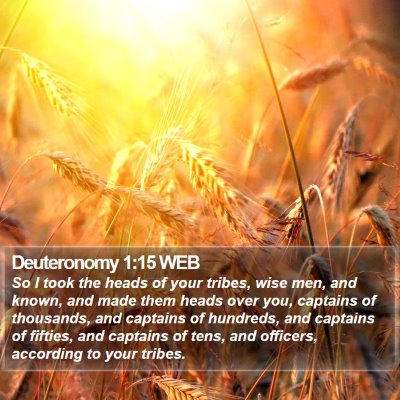 Deuteronomy 1:15 WEB Bible Verse Image