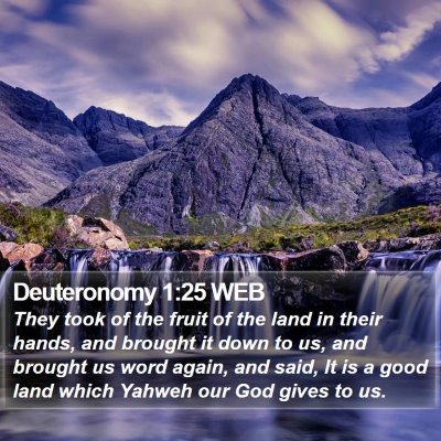 Deuteronomy 1:25 WEB Bible Verse Image