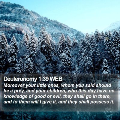 Deuteronomy 1:39 WEB Bible Verse Image