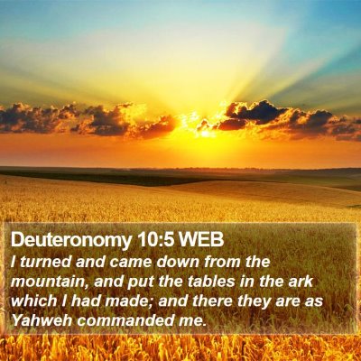 Deuteronomy 10:5 WEB Bible Verse Image