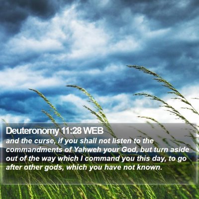 Deuteronomy 11:28 WEB Bible Verse Image