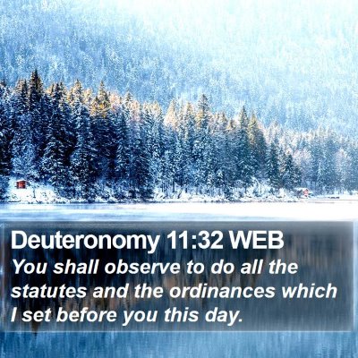 Deuteronomy 11:32 WEB Bible Verse Image