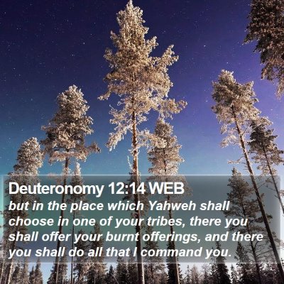 Deuteronomy 12:14 WEB Bible Verse Image