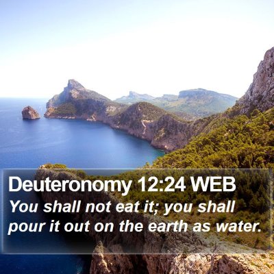 Deuteronomy 12:24 WEB Bible Verse Image
