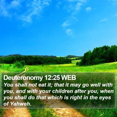 Deuteronomy 12:25 WEB Bible Verse Image