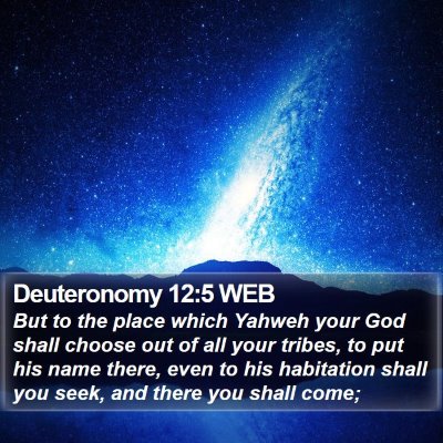 Deuteronomy 12:5 WEB Bible Verse Image