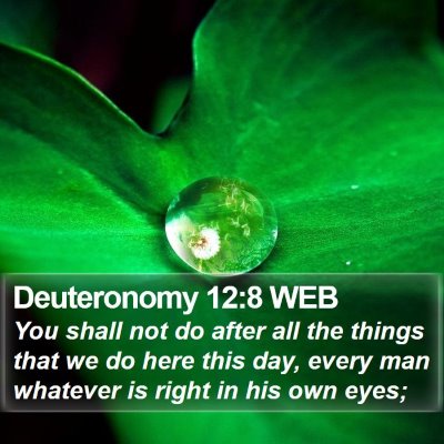 Deuteronomy 12:8 WEB Bible Verse Image