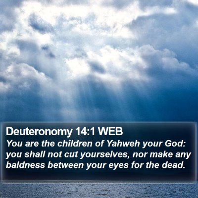 Deuteronomy 14:1 WEB Bible Verse Image
