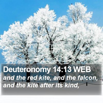 Deuteronomy 14:13 WEB Bible Verse Image