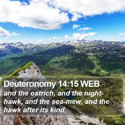 Deuteronomy 14:15 WEB Bible Verse Image