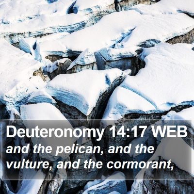 Deuteronomy 14:17 WEB Bible Verse Image