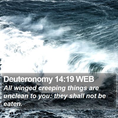 Deuteronomy 14:19 WEB Bible Verse Image