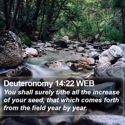 Deuteronomy 14:22 WEB Bible Verse Image