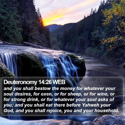 Deuteronomy 14:26 WEB Bible Verse Image