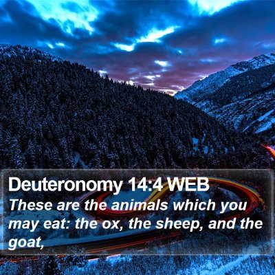 Deuteronomy 14:4 WEB Bible Verse Image
