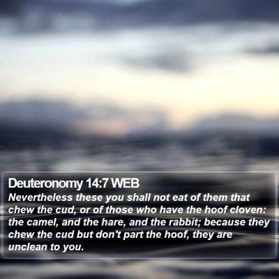 Deuteronomy 14:7 WEB Bible Verse Image