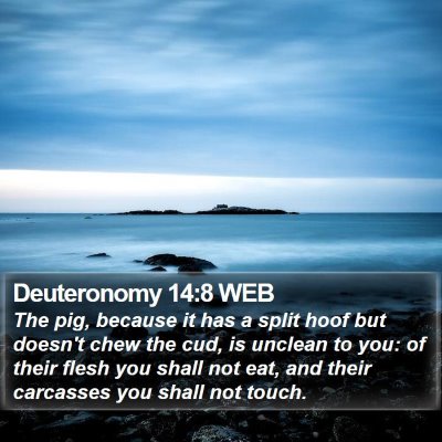 Deuteronomy 14:8 WEB Bible Verse Image