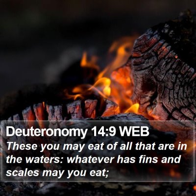 Deuteronomy 14:9 WEB Bible Verse Image