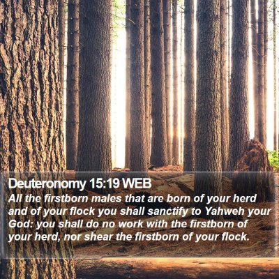 Deuteronomy 15:19 WEB Bible Verse Image