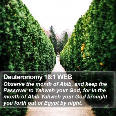 Deuteronomy 16:1 WEB Bible Verse Image
