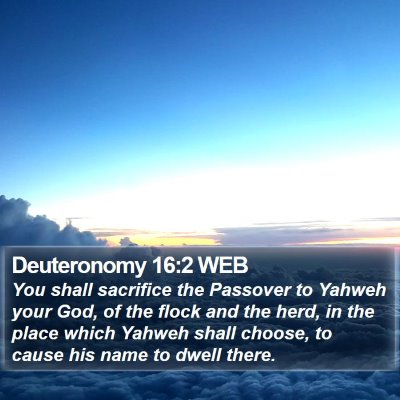 Deuteronomy 16:2 WEB Bible Verse Image