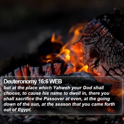 Deuteronomy 16:6 WEB Bible Verse Image