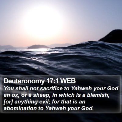 Deuteronomy 17:1 WEB Bible Verse Image