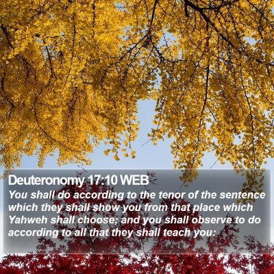 Deuteronomy 17:10 WEB Bible Verse Image