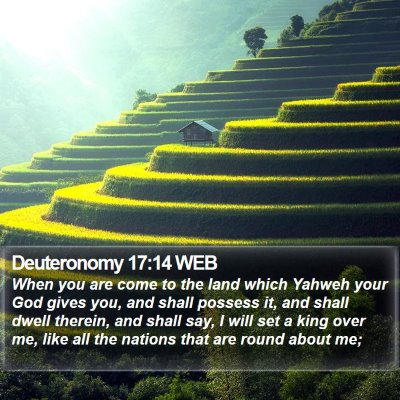 Deuteronomy 17:14 WEB Bible Verse Image