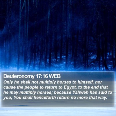 Deuteronomy 17:16 WEB Bible Verse Image