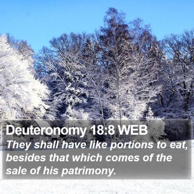 Deuteronomy 18:8 WEB Bible Verse Image