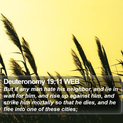Deuteronomy 19:11 WEB Bible Verse Image
