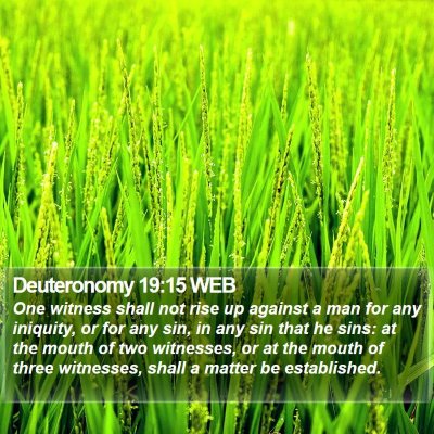 Deuteronomy 19:15 WEB Bible Verse Image