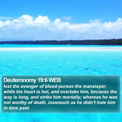 Deuteronomy 19:6 WEB Bible Verse Image
