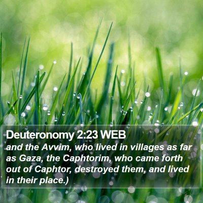 Deuteronomy 2:23 WEB Bible Verse Image