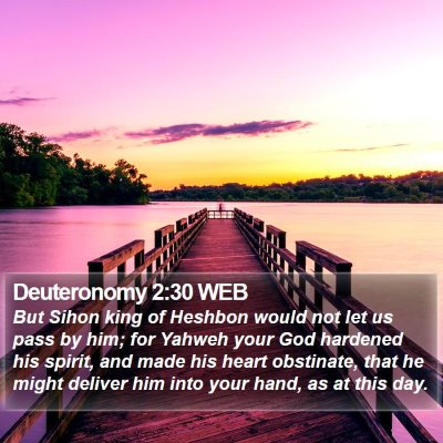 Deuteronomy 2:30 WEB Bible Verse Image