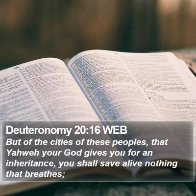 Deuteronomy 20:16 WEB Bible Verse Image
