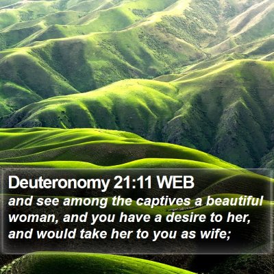 Deuteronomy 21:11 WEB Bible Verse Image